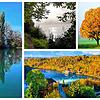 So schön ist der Herbst 2023: Die Klosterinsel Rheinau vom Wasser aus gesehen, der Laufen bei Kadelburg, ein herbstlicher Baum bei ...