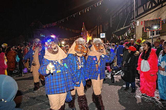 Bild 7: Nachtumzug Möggingen 2025: Fasnacht in Bildern – 30 Gruppen in voller Pracht