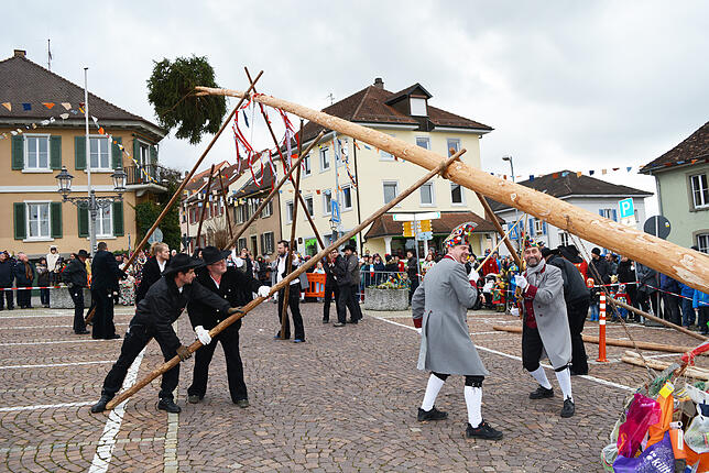 Fasnetsamstag vor einem Jahr: Hardy Frick und Dietmar Bitzenhofer (vorne) helfen beim Narrenbaumstellen.