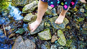 Adelhausen erhält einen Naturkindergarten. Symbolfoto: Hauke-Christian Dittrich, dpa