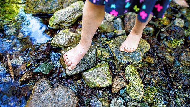 Adelhausen erhält einen Naturkindergarten. Symbolfoto: Hauke-Christian Dittrich, dpa