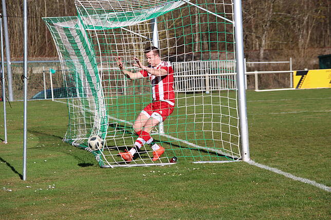 Ball und Verteidiger sind im Tor.