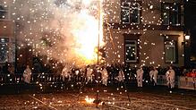 Im Funkenregen ist sie dahingegangen die Fasnacht 2020. Ohh jeeeeh
