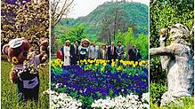 Seit der Landesgartenschau 2000 in Singen sind 25 Jahre vergangen. Der SÜDKURIER wirft einen Blick zurück.