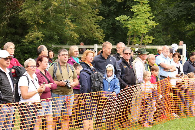 Bild 21: Bilder vom Marathon der Vierspänner beim Reitturnier in Donaueschingen