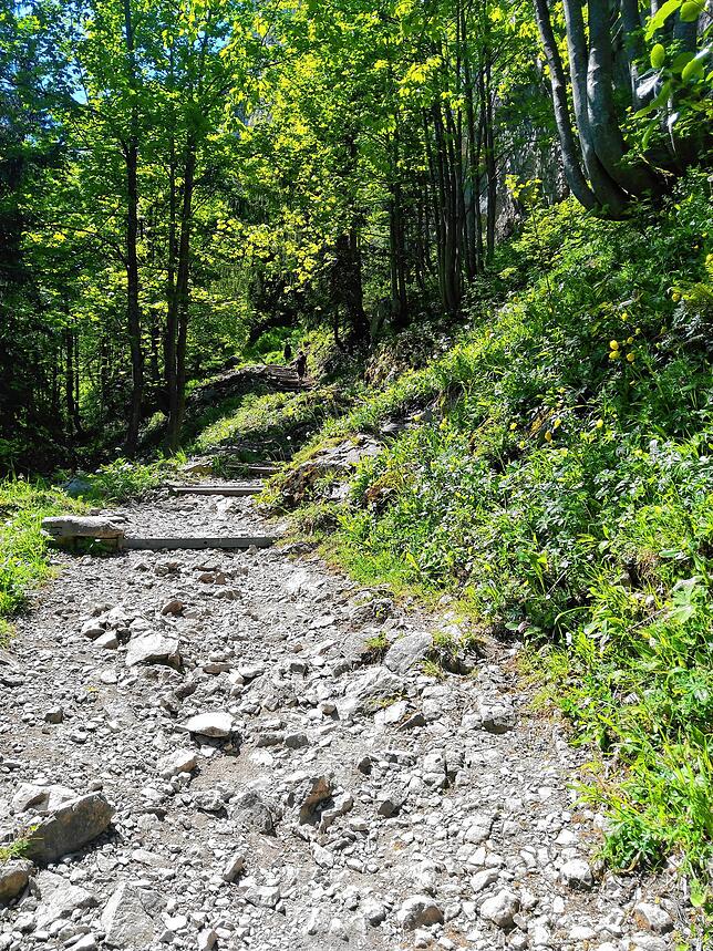 Bild 7: Normalerweise überrennen Touristen das Berggasthaus Aescher, doch wie sieht es dort jetzt aus? Wir nehmen Sie mit auf eine Wanderung