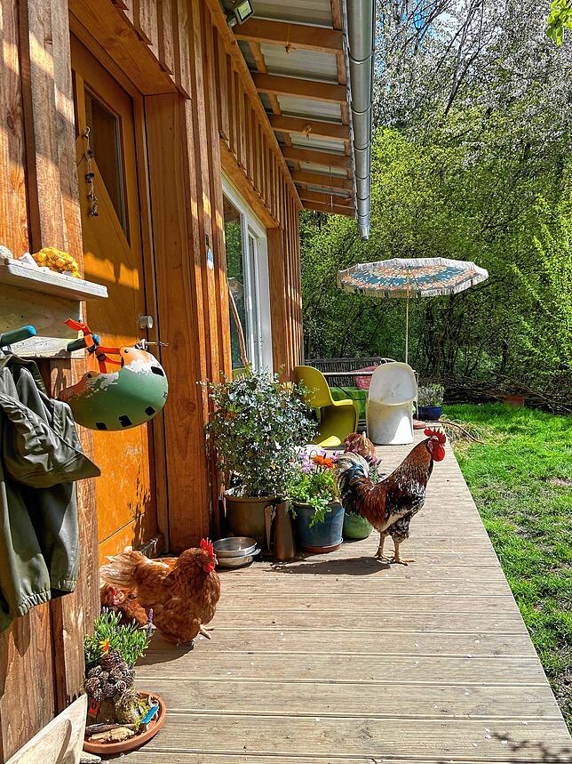 Der Außenbereich des Tinyhauses, in dem die Familie seit Jahren wohnt.