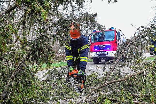 In Biberach stürzte ein Baum auf die Straße