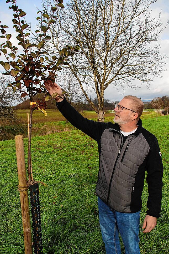 Roland Kerller aus Weisweil hat auf rund 2000 Quadratmetern eine Streuobstwiese angelegt. Er bricht auch eine Lanze für die Baumpflege.