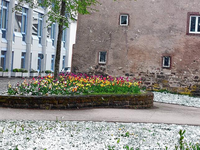 Bild 3: Ein Winterspaziergang im April: So sieht es in Villingen und St. Georgen am Sonntagmorgen aus