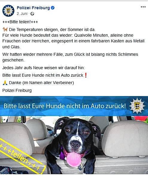 Die Polizei Freiburg warnt am 2. Juni auf ihrer Facebook-Seite davor, die Hunde im Auto zu lassen.