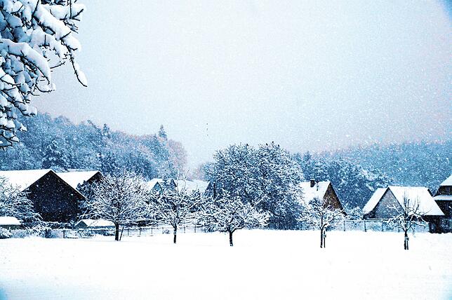 Bild 40: Schnee wohin das Auge reicht! So sieht es gerade im Raum Stockach aus