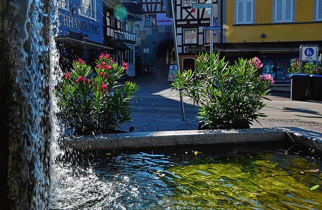 Mehr Wasser in der Innenstadt wünscht sich Stadtrat Rolf Haas und schlägt vor, einen Teil des Ochsenbachs wieder zu öffnen, der ...