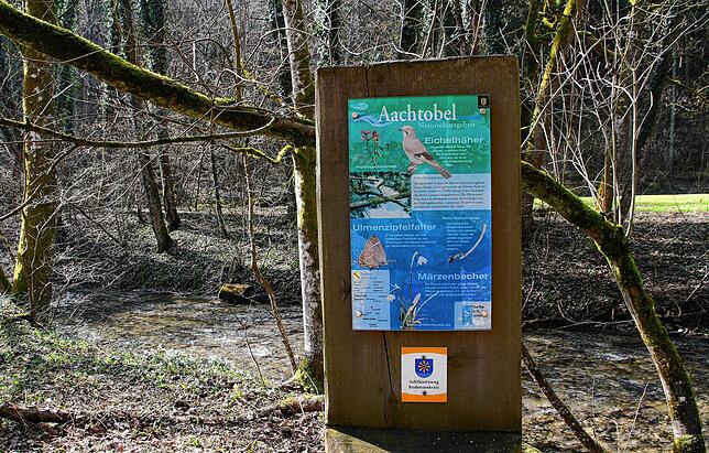 Die Aachtobel-Schlucht beherbergt eine artenreiche Flora und Fauna.