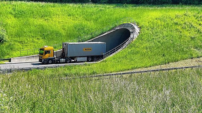 Hier nicht: Die Randstreifen entlang der Autobahn bei Ebringen werden nicht mit Sonnenkollektoren ausgerüstet. Dagegen hatten sich ...