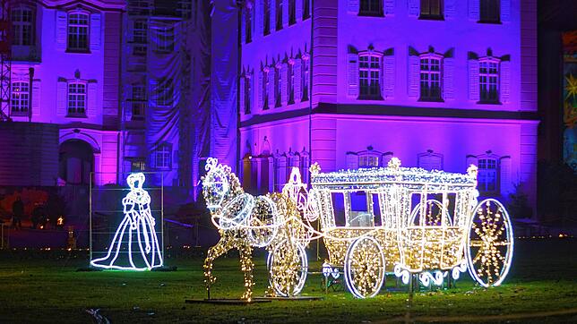 Wie entsteht so etwas? Die Gewinner bei &bdquo;Der SÜDKURIER öffnet Türen&ldquo; erleben, wie Christmas Garden auf der Mainau im ...