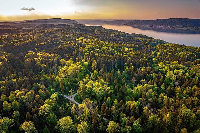 Sonnenuntergang über dem Bodanrück am Bodensee: Hier kann man die schöne Natur mit dem Rad erkunden.