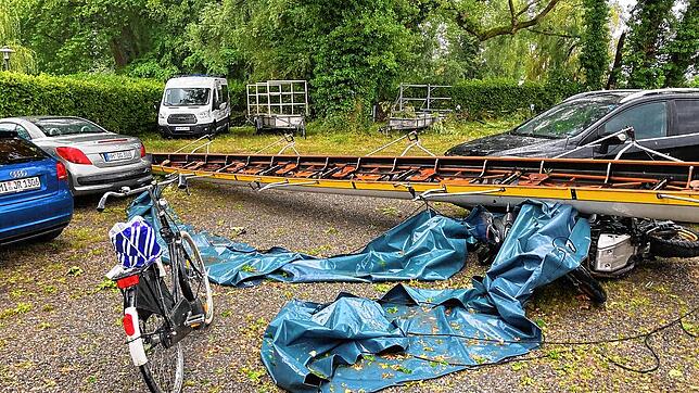 Bild 13: Umgestürzte Bäume sorgen für viel Arbeit für alle: Die Bilder nach dem Unwetter aus Radolfzell