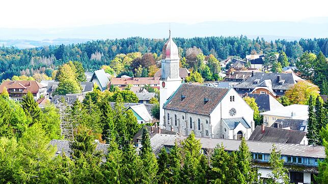Immer wieder spielt Ronald Wasserrab auch die Orgel in der katholischen Kirche. Bild: Sebastian Barthmes