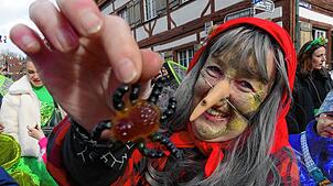 Bild : Fasnacht in Bermatingen: 100. Narrenbaum und 55 Jahre Zimmergilde – Die besten Bilder!