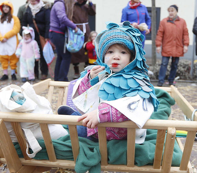 Bild 1: Bilder vom Kinderumzug in Donaueschingen-Pfohren