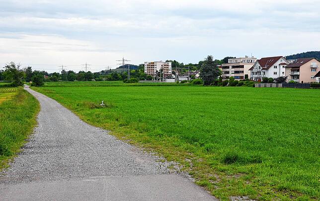 Rechts und links der Baustraße nach Markdorf-Süd soll das neue große Wohnbaugebiet entstehen.