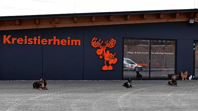 Das Kreistierheim des Schwarzwald-Baar Kreises in Donaueschingen nimmt herrenlose oder aus Missständen befreite Tiere bei sich auf. ...