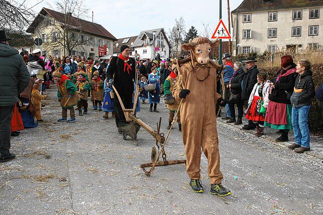 Bild 30: Die schönsten Bilder vom Jubiläumsumzug der Sunnelöscherzunft