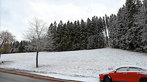 Viel von diesem Wald wird für den künftigen Superior-Campingplatz Ochsencamp wegfallen, der entlang der B 500 entstehen soll. Bild: ...