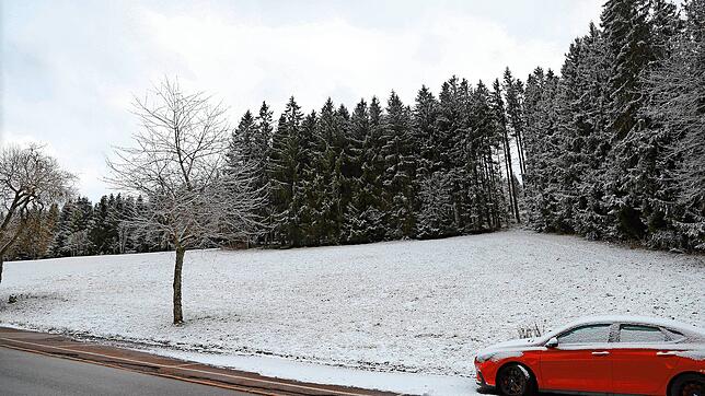 Viel von diesem Wald wird für den künftigen Superior-Campingplatz Ochsencamp wegfallen, der entlang der B 500 entstehen soll. Bild: ...
