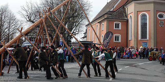 In Allensbach wird der Narrenbaum aufgerichtet.