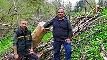 Die Klingenbachschlucht in Öhningen bleibt trotz der Fällung von über 450 Erlen gesperrt. Revierförster David Borho (links) und Wegewart ...