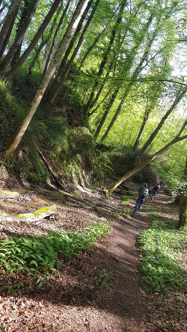 Bild 3: Hunderte Leser wandern die erste Genusstour auf der Hinteren Höri. Schicken Sie uns auch Ihr Wanderbild!