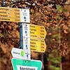 Ohne Schwarzwaldverein kein Wegweiser: Der Ortsverein Radolfzell-Markelfingen betreut auf der Gemarkung der Stadt rund 120 Kilometer ...