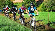Ein sportlicher Höhepunkt in der Region ist der Schwarzwald Bike Marathon. Allerdings müssen Sportler auf diese Veranstaltung 2024 ...