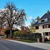 Von diesem Baum an der Ampel Kreuzung Waldstraße und Richthofenstraße regneten Ende Oktober Kastanien auf das Auto von Heinz Widmann.