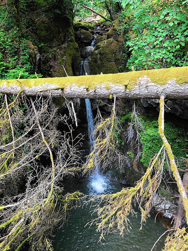 Bild 8: Wandern vor der Haustür (Teil 5): Von Indlekofen zum Haselbach-Wasserfall