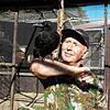 Hier war nur ein Zwischenstopp: Karl im Waldshuter Wildgehege mit Hubert Rossa, der sich um ihn gekümmert und ihn in ein neues Umfeld ...