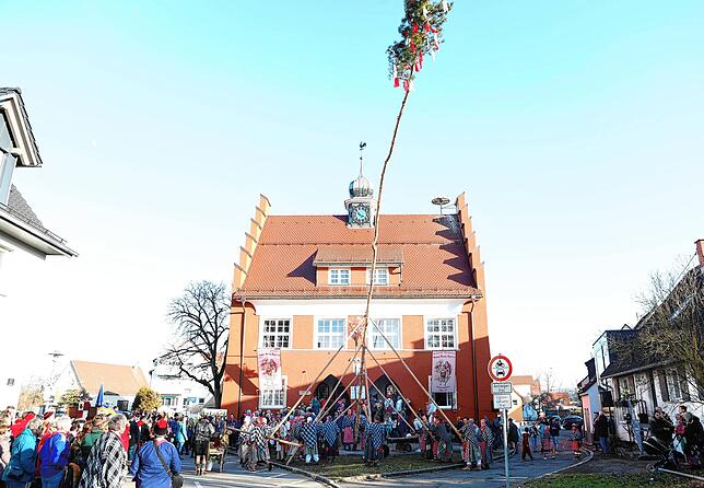 Bild 12: Mit einem kräftigen Hau Ruck wird der Narrenbaum in Position gebracht