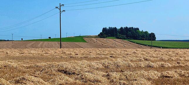 Überall wird gerade das Getreide geerntet, nach dem Dreschen bleibt auf dem Feld das Stroh als Brandlast zurück.