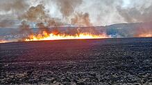 (Archivbild) Ein ungewohntes Szenario im Hegau, aber solche Bilder werden häufiger: Die Feuerwehren rechnen mit immer mehr ...