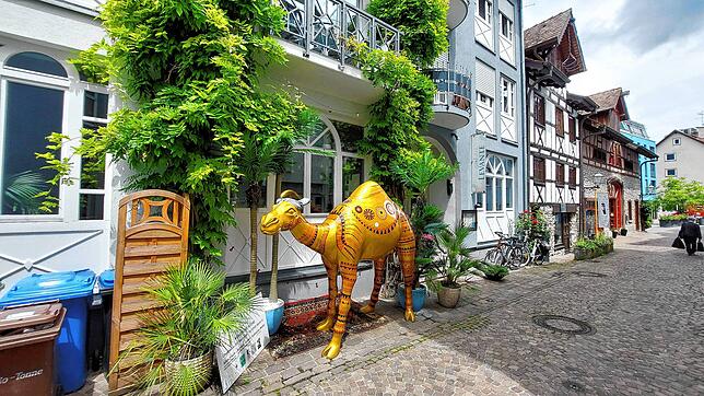 Das Levante in der Löwengasse. Spätestens beim Anblick des Dromedars weiß man, dass hier ein arabisches Restaurant auf seine Gäste wartet.
