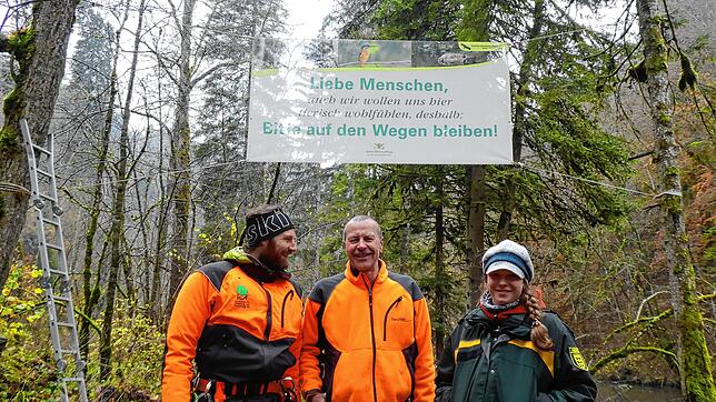 Eine gute Wirkung in der Wutachschlucht erzielen die Banner zur Besucherlenkung. am Donnerstag, 9. November 2023, hängten Wutachranger ...