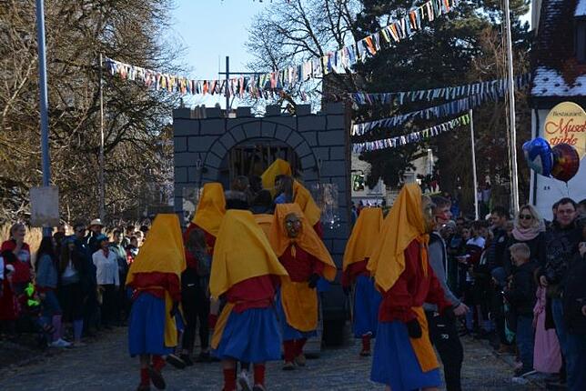 Bild 40: Bilder vom Narrentreffen der Urviecher-Zunft Bad Dürrheim: Großer Festumzug (4)