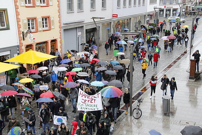 Bild 3: Globaler Streiktag: Hunderte Schüler ziehen fürs Klima durch die Villinger Innenstadt