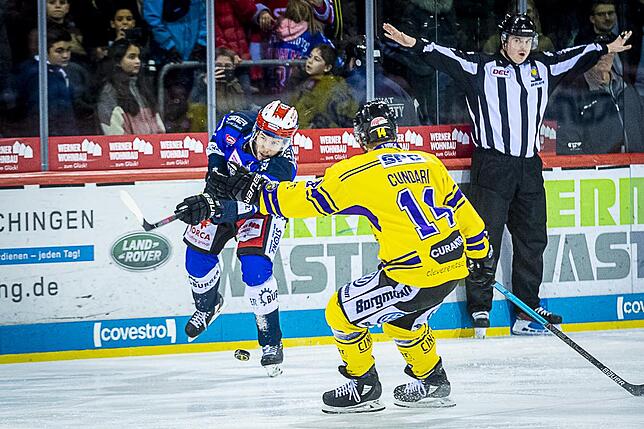Bild 35: Bilder: Wild Wings vs. Krefeld Pinguine