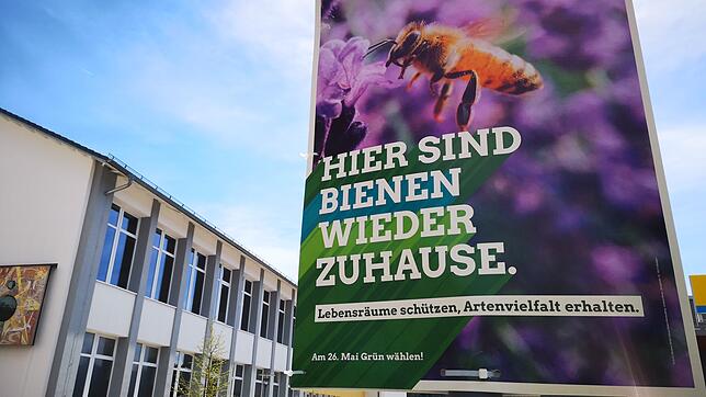 Ein Wahlplakat der Grünen vor der Robert-Gerwig-Schule.
