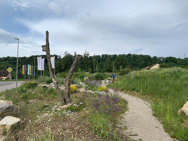 Bild 4: Wehrer Natur-Erlebnis-Anlage der Novartis im UN-Wettbewerb