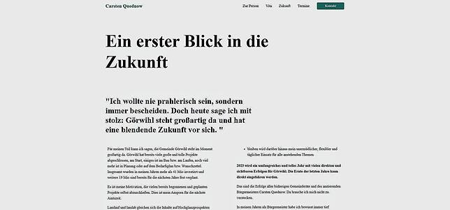Bild 8: Der virtuelle Wahlkampf: Wie präsentieren sich die Bürgermeisterkandidaten im Internet?