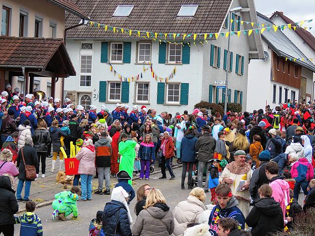 Bild 21: Die Bilder vom großen Umzug in Brigachtal-Klengen